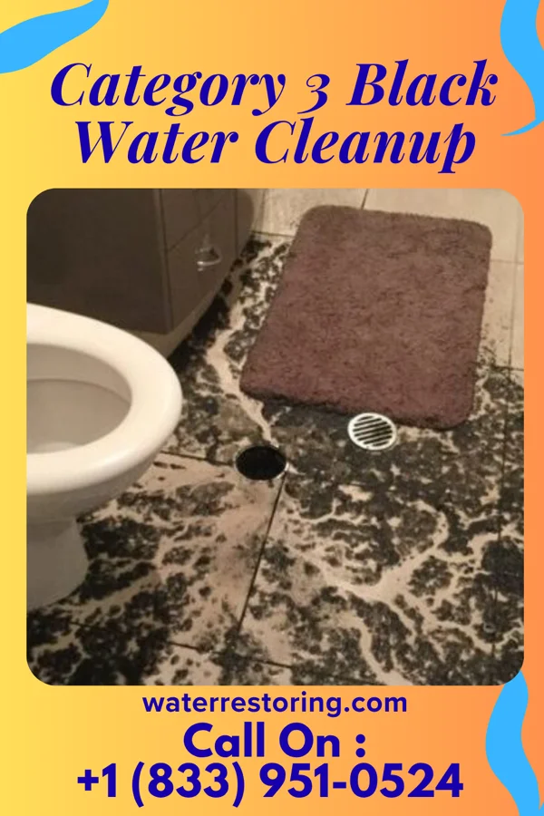 Category 3 Black Water Cleanup in Rocky Top, TN