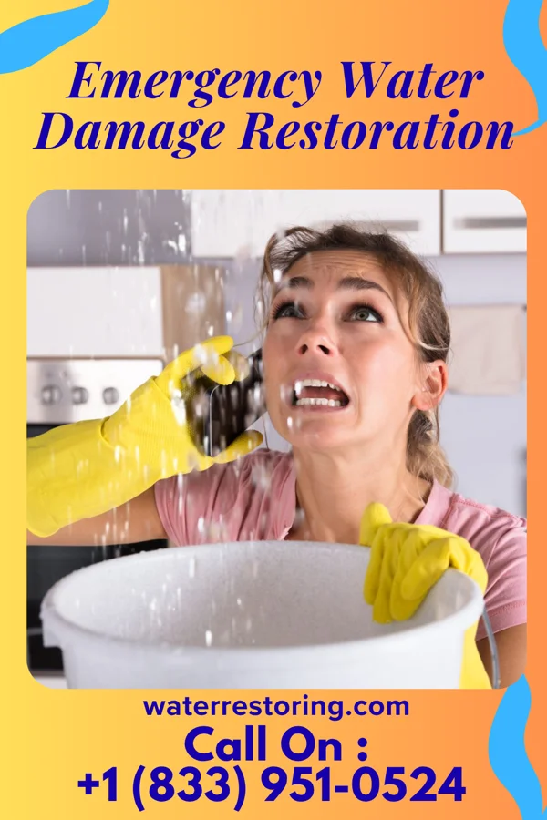 Emergency Water Damage Restoration in Rocky Top, TN