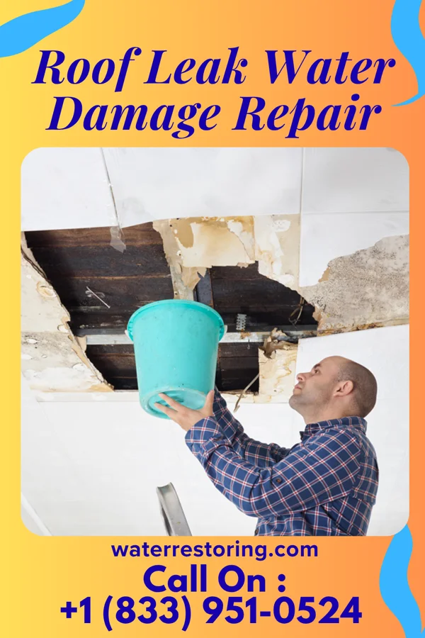 Roof Leak Water Damage Repair in Rocky Top, TN