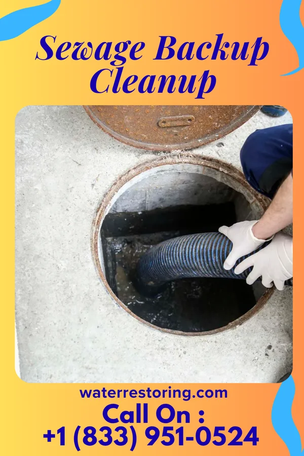 Sewage Backup Cleanup in Rocky Top, TN