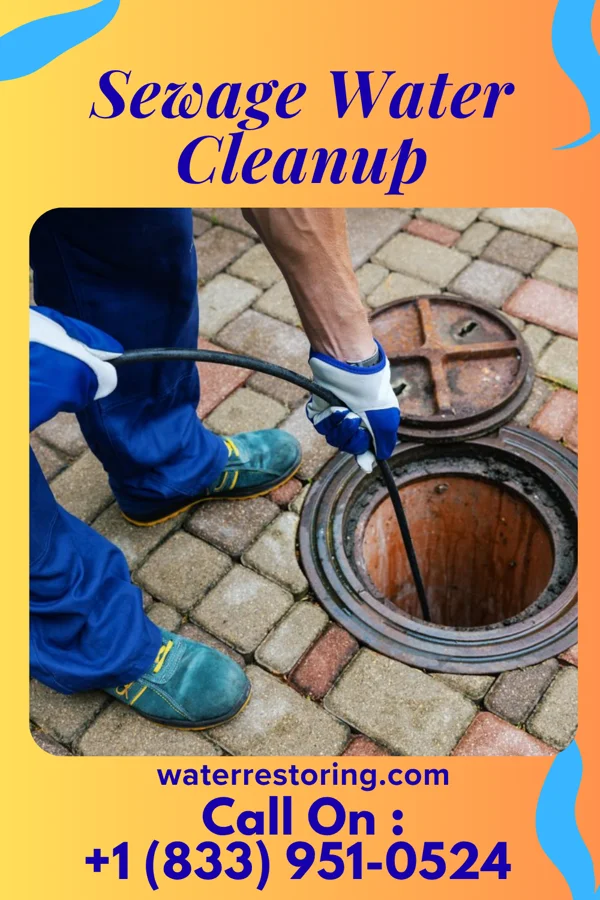 Sewage Water Cleanup in Rocky Top, TN